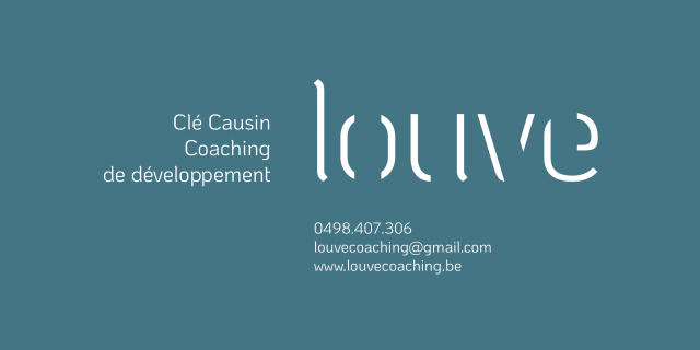 Coaching * Clé Causin