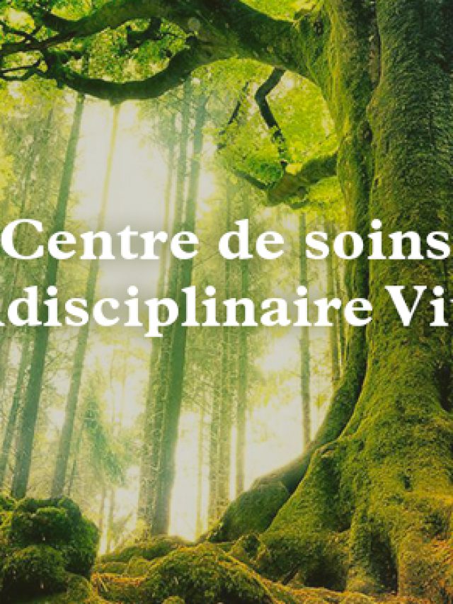 Centre Vitalys