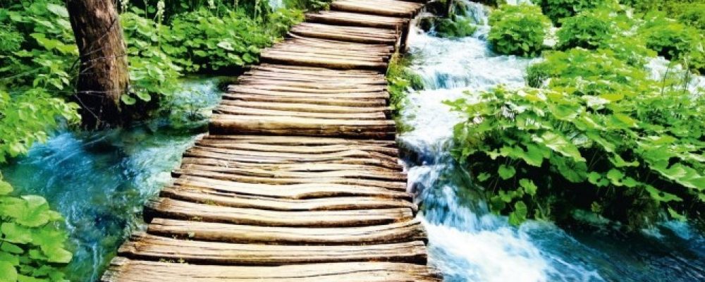 Le Ming Gua par Sara Giunta experte en Feng Shui Traditionnel